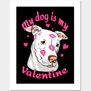 My Dog Is My Valentine Funny Valentines Day Pit Bull lover Posters and Art